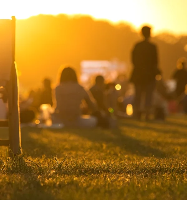 people-grass-sunset